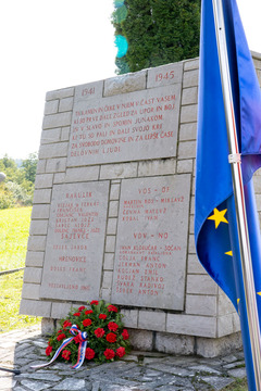 Sajevče _ 2025 (26)
